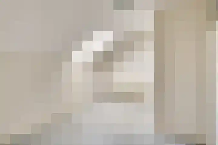 Geneneind 8 Bakel thumbnail 32