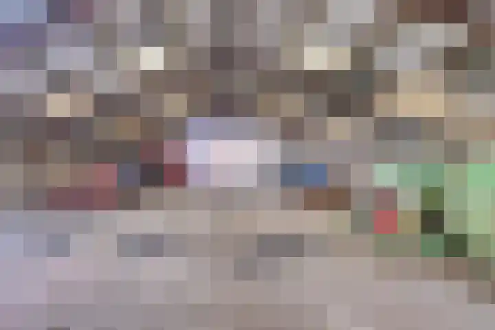 Geneneind 8 Bakel thumbnail 37