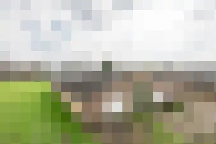 Geneneind 8 Bakel thumbnail 38