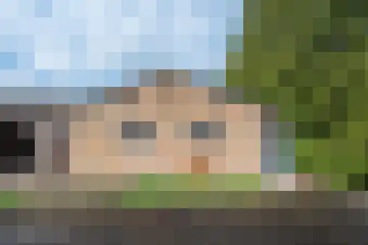 Geneneind 8 Bakel thumbnail 40