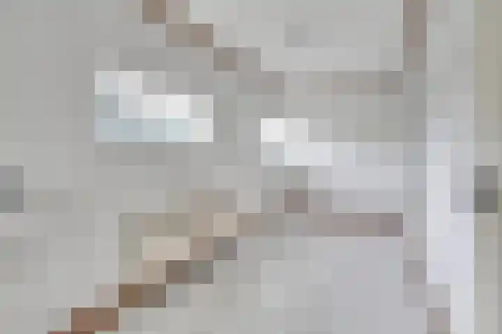 Geneneind 8 Bakel thumbnail 41