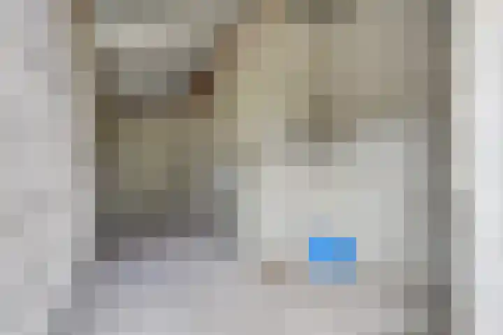 Geneneind 8 Bakel thumbnail 42