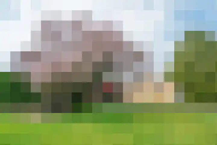 Geneneind 8 Bakel thumbnail 44