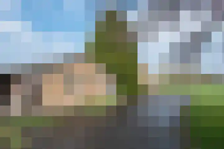 Geneneind 8 Bakel thumbnail 45