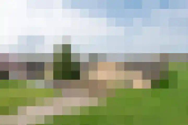 Geneneind 8 Bakel thumbnail 46