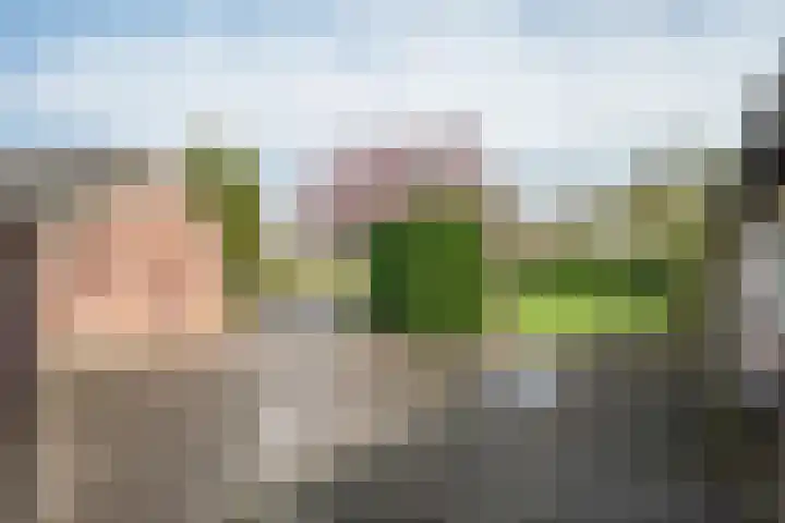 Geneneind 8 Bakel thumbnail 47