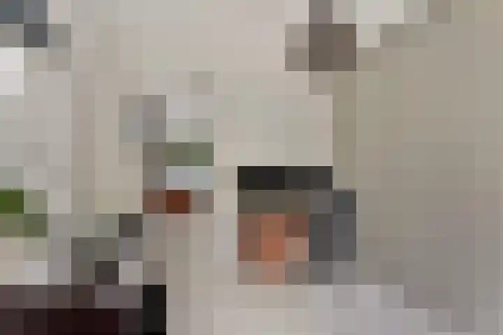 Geneneind 8 Bakel thumbnail 48
