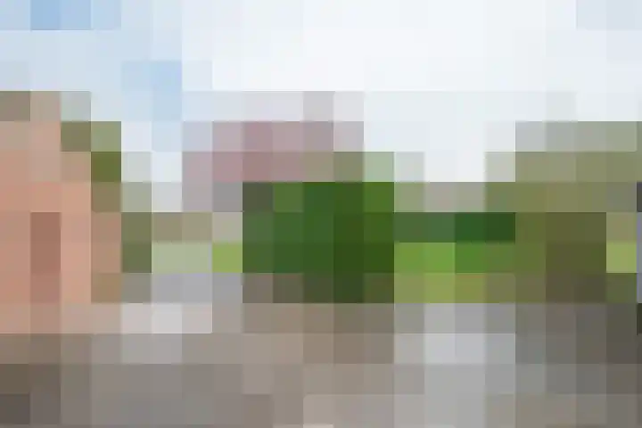Geneneind 8 Bakel thumbnail 48