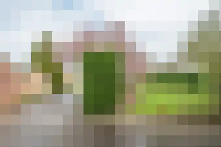 Geneneind 8 Bakel thumbnail 49