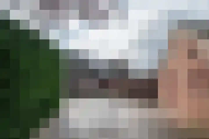 Geneneind 8 Bakel thumbnail 51