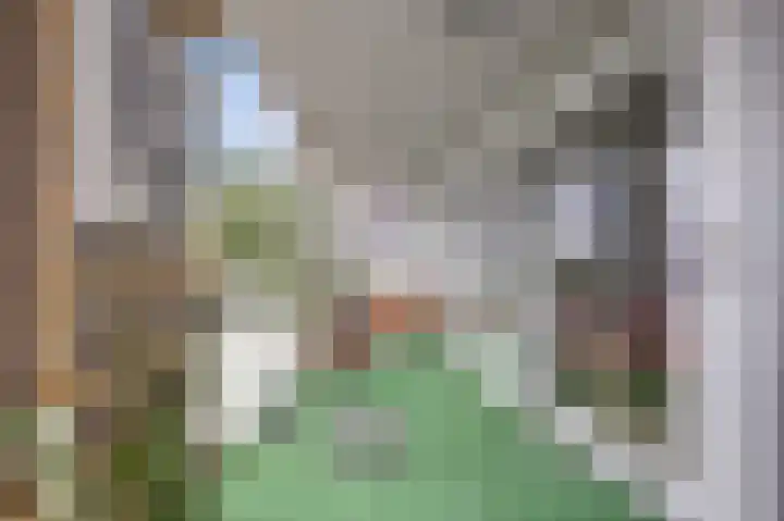 Geneneind 8 Bakel thumbnail 57