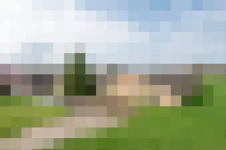 Geneneind 8 Bakel thumbnail 6