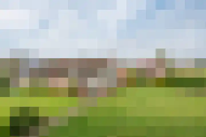 Geneneind 8 Bakel thumbnail 7