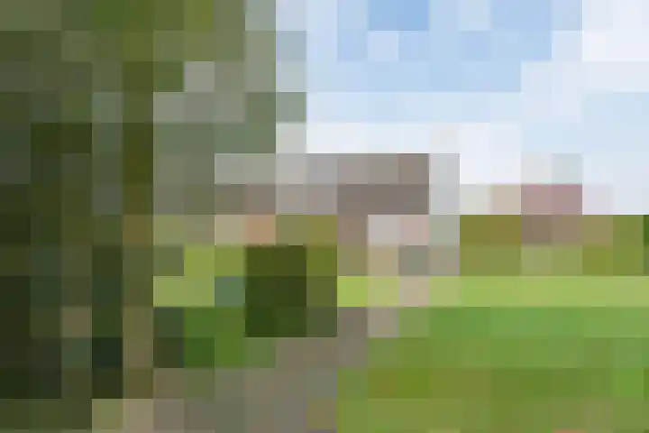 Geneneind 8 Bakel thumbnail 8