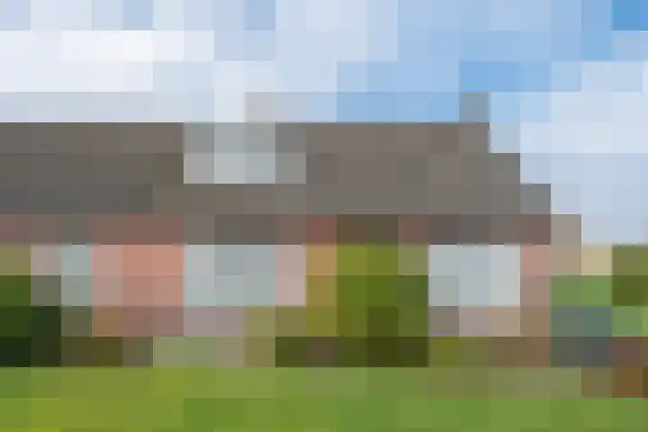Geneneind 8 Bakel thumbnail 9