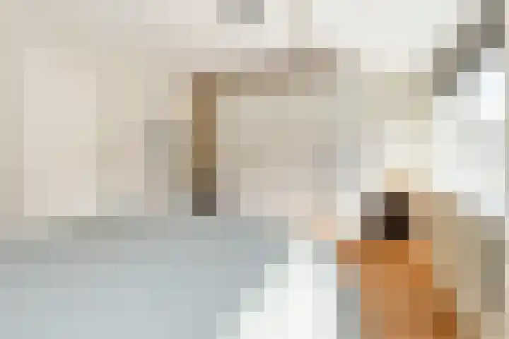Generaal Bothastraat 11 Haarlem thumbnail 21