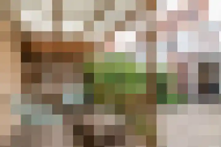 Generaal Bothastraat 123 Haarlem thumbnail 22