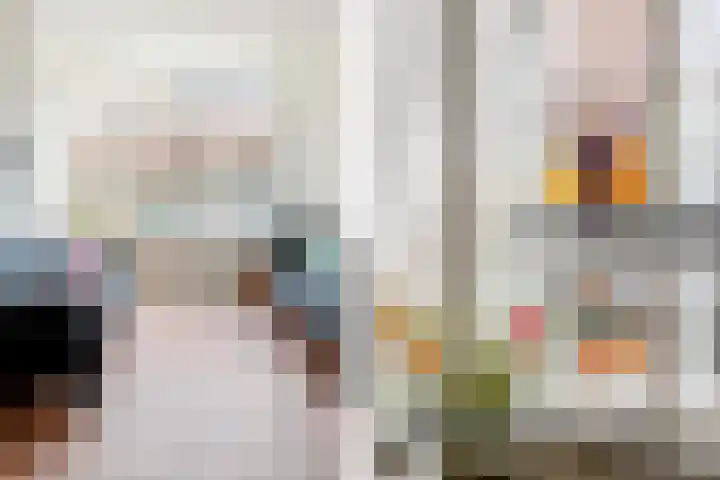 Generaal Bothastraat 123 Haarlem thumbnail 5
