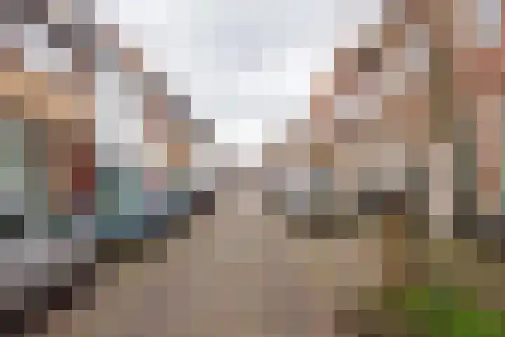 Generaal Bothastraat 52 Haarlem thumbnail 31