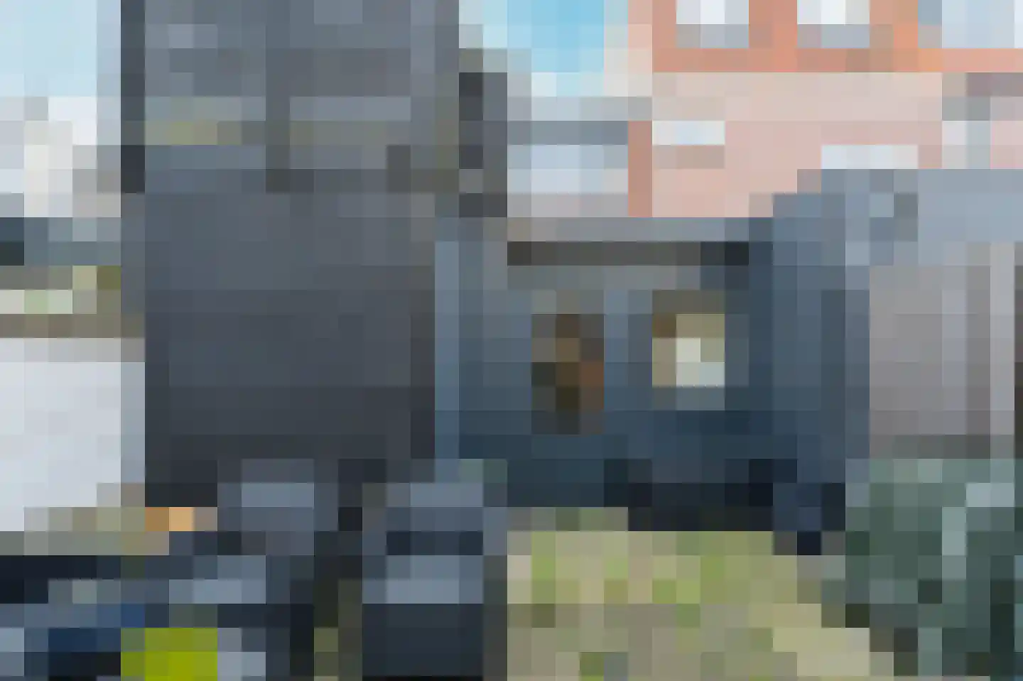 Generaal Bothastraat 83 Haarlem thumbnail 26