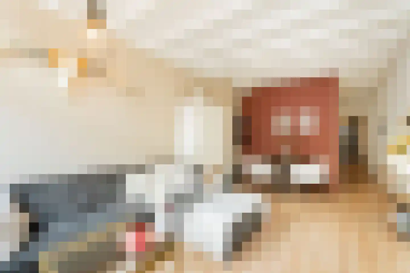 Generaal Bothastraat 83 Haarlem thumbnail 8
