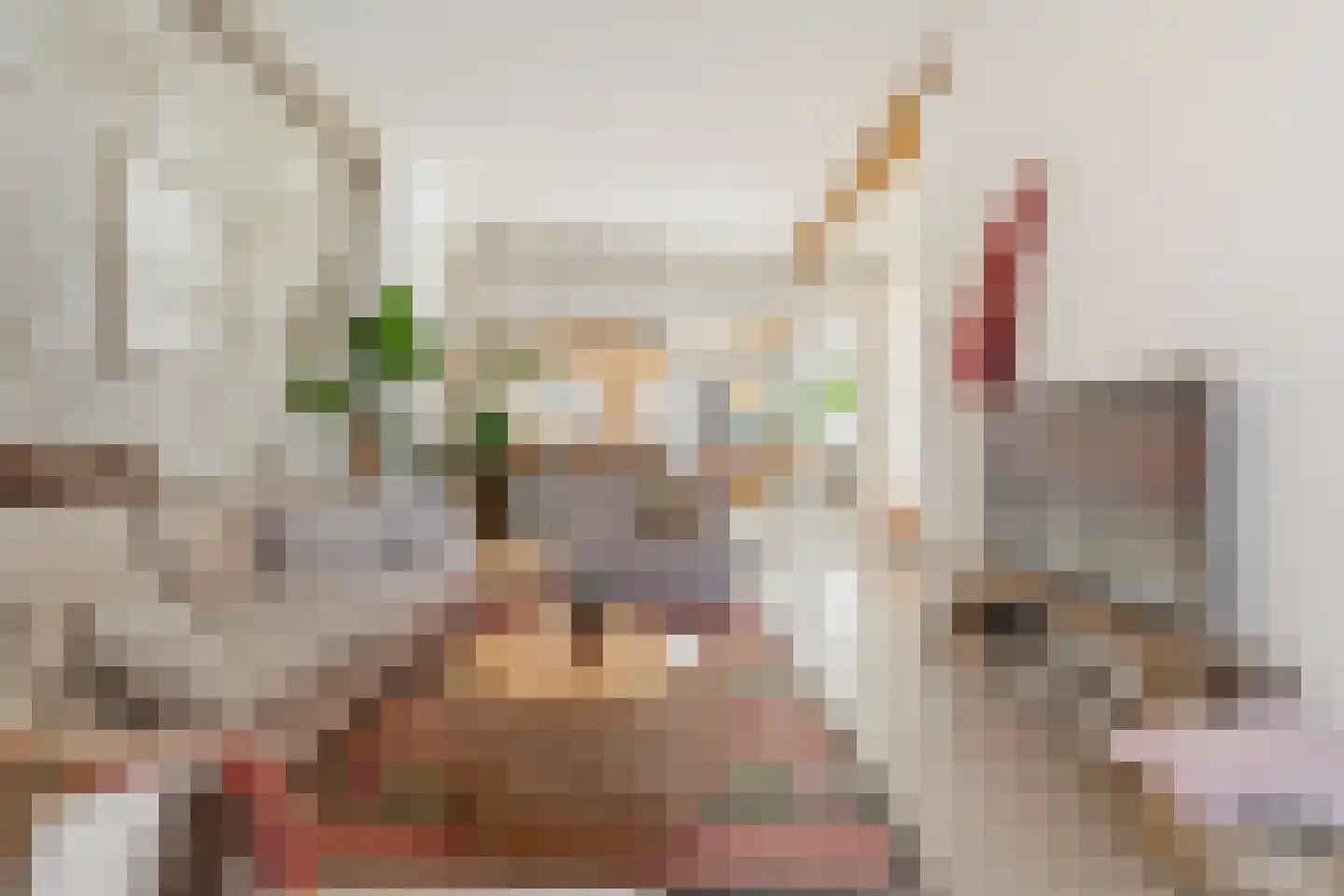 Generaal Maczekstraat 24 Breda thumbnail 11