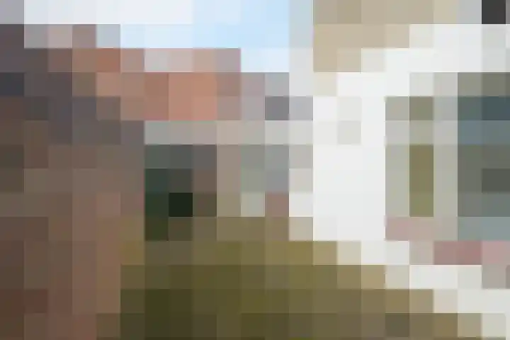 Generaal Maczekstraat 48 Breda thumbnail 19