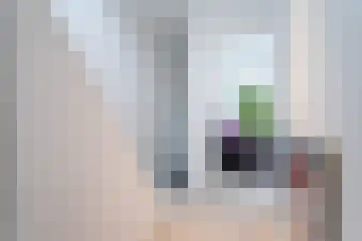 Generaal Maczekstraat 53 Breda thumbnail 19