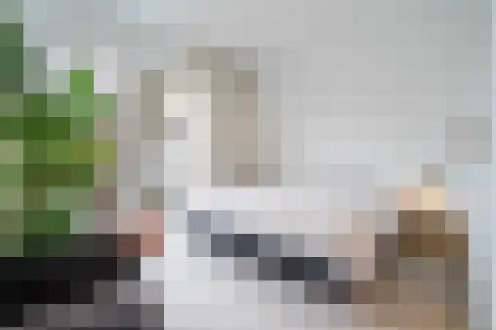Generaal Maczekstraat 53 Breda thumbnail 20