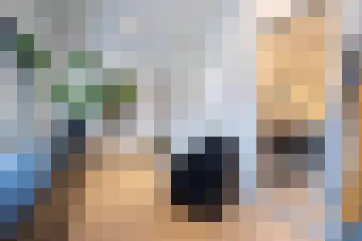 Generaal Maczekstraat 53 Breda thumbnail 23