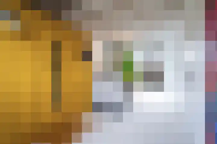 Generaal Maczekstraat 53 Breda thumbnail 30