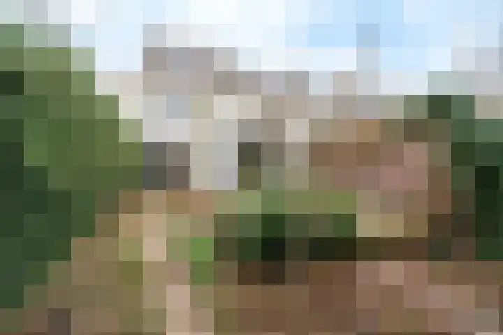 Generaal Maczekstraat 53 Breda thumbnail 35