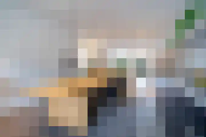 Generaal Maczekstraat 53 Breda thumbnail 6