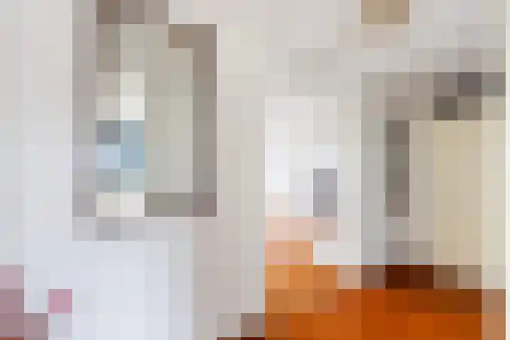 Generaal Stafsingel 37 Numansdorp thumbnail 20