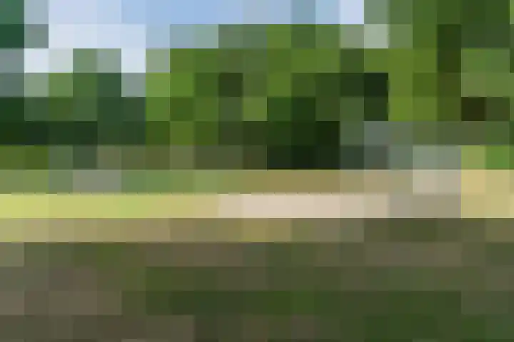 Genneperweg 10 A Eindhoven thumbnail 44
