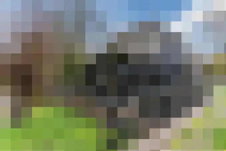 Genneperweg 10 A Eindhoven thumbnail 45