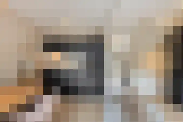 Genneperweg 87 A Eindhoven thumbnail 13