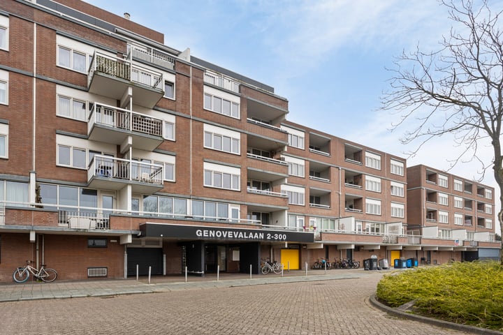 Genovevalaan 28 in Eindhoven foto