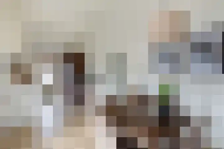 Gentenerf 10 33 Ermelo thumbnail 15