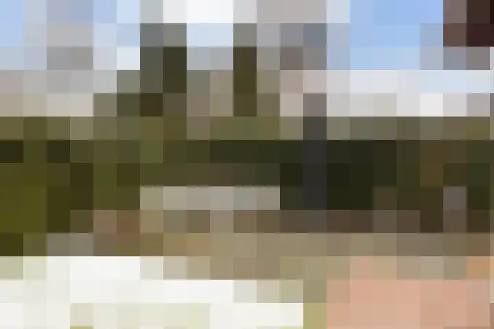Gentenerf 10 33 Ermelo thumbnail 29