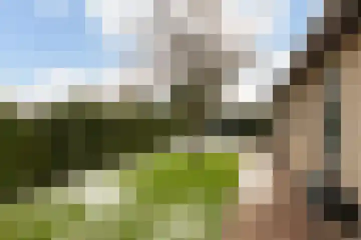 Gentenerf 10 33 Ermelo thumbnail 30