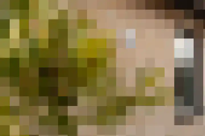 Gentenerf 10 33 Ermelo thumbnail 39