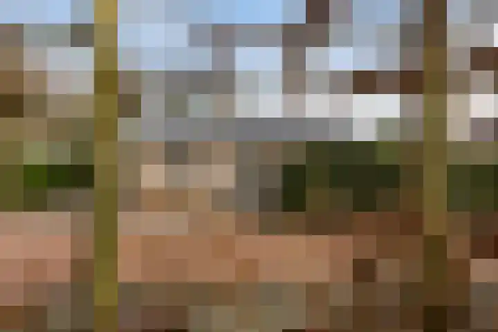 Gentenerf 10 33 Ermelo thumbnail 40