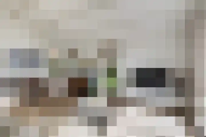 Gentenerf 10 33 Ermelo thumbnail 6