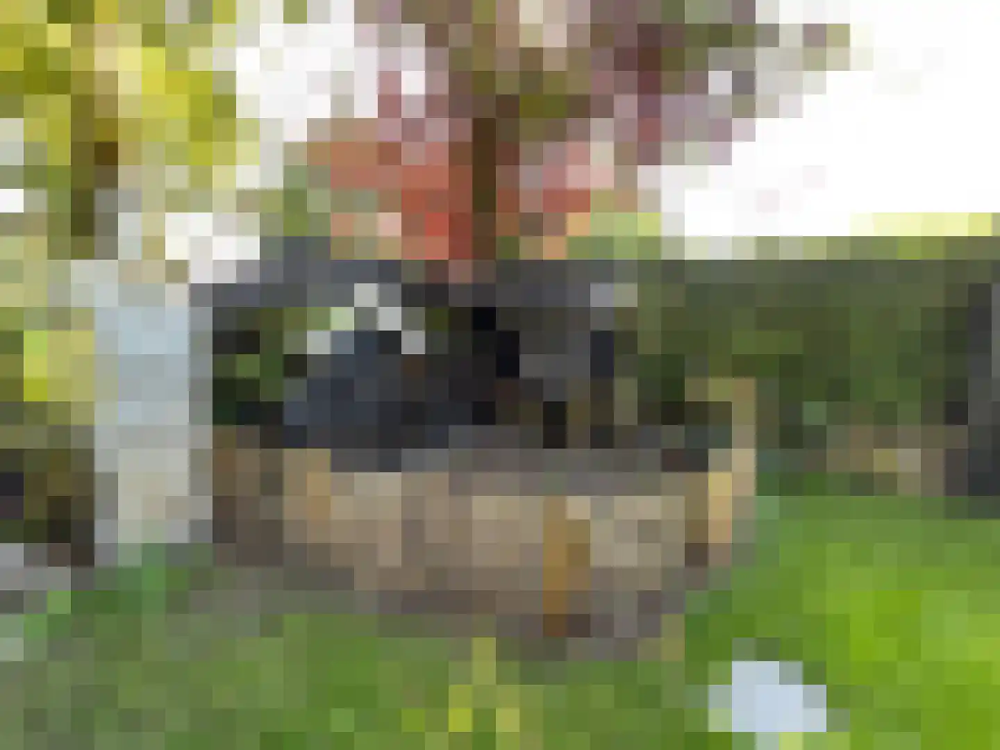 Gentenerf 9 16 Ermelo thumbnail 18
