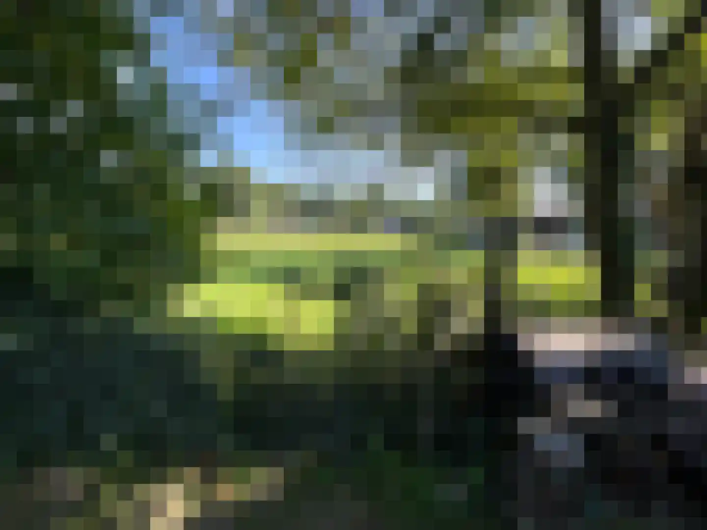 Gentenerf 9 16 Ermelo thumbnail 19