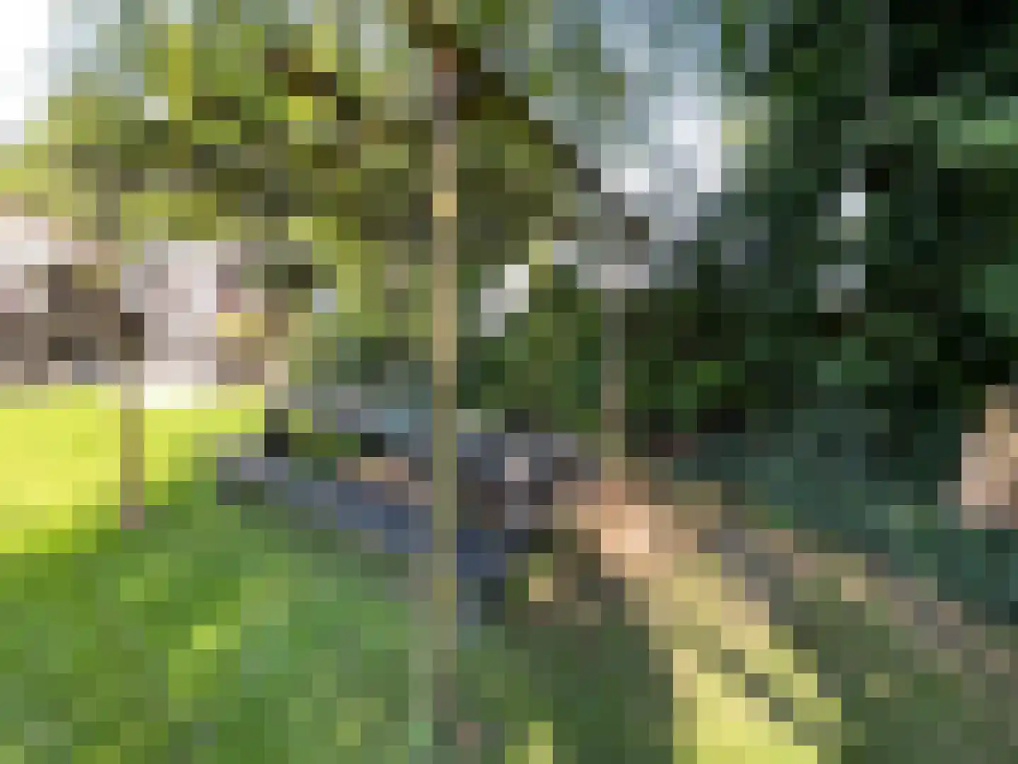 Gentenerf 9 16 Ermelo thumbnail 20