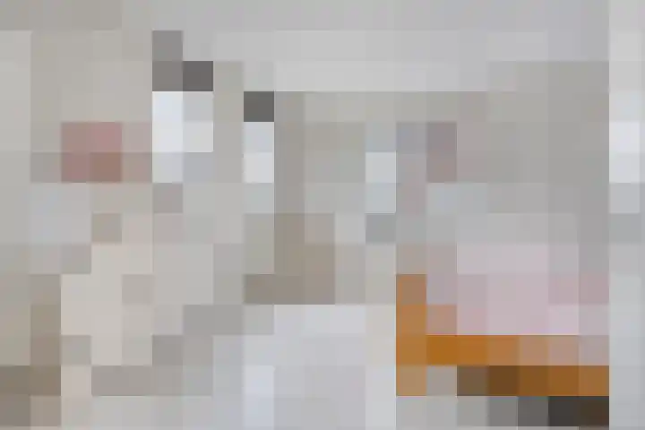 Genthoek 39 Leusden thumbnail 19