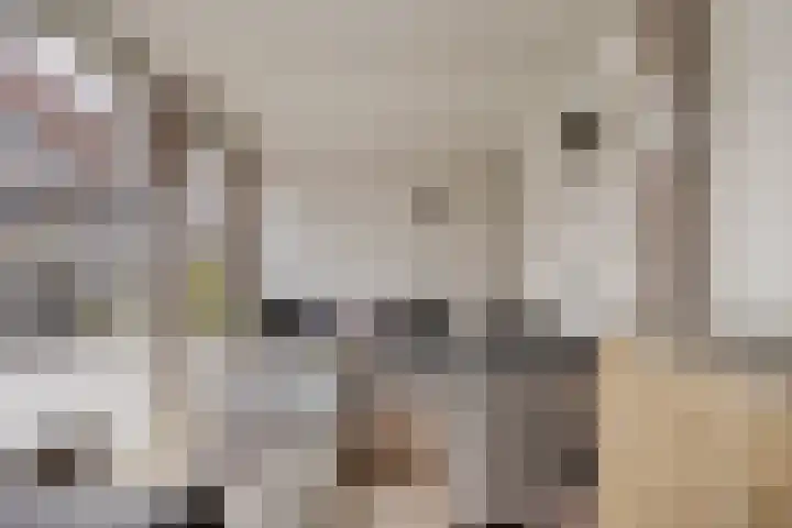 Genthoek 39 Leusden thumbnail 33