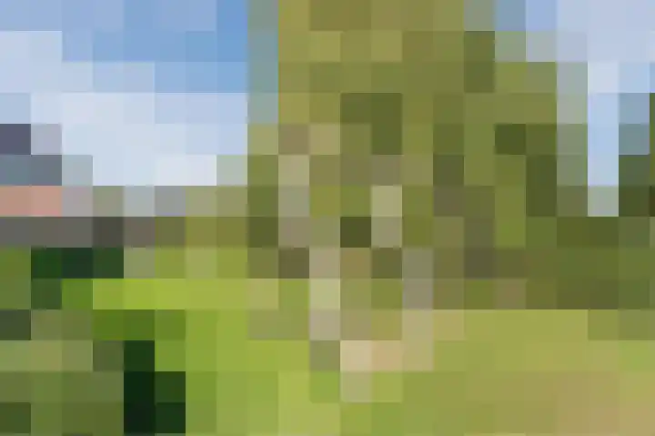 Genthoek 4 Leusden thumbnail 28
